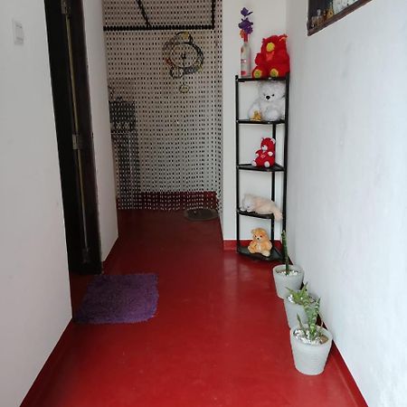 Aloka Home Stay Нувара-Елія Екстер'єр фото