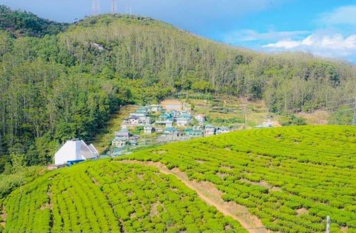 Aloka Home Stay Нувара-Елія Екстер'єр фото